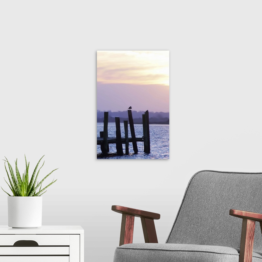 A modern room featuring Seagulls at Sunset