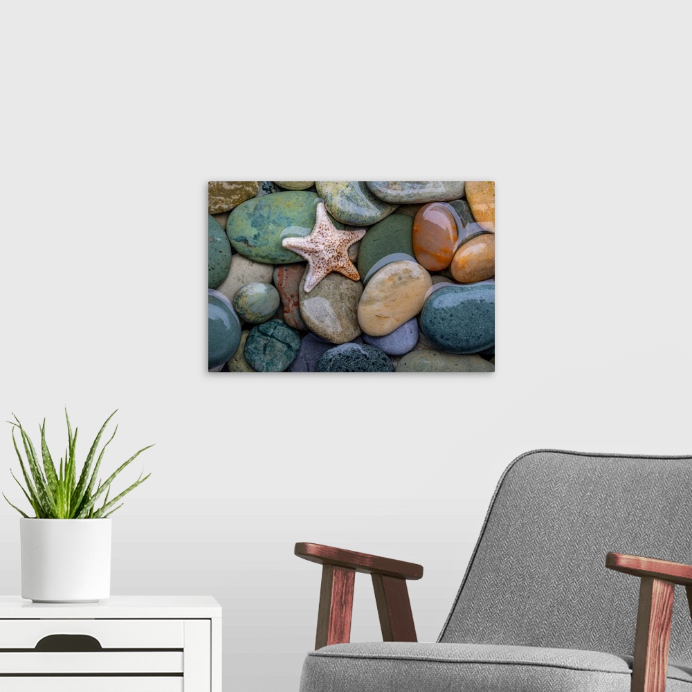 A modern room featuring Seastar and Beach Rock - 50.6mp image