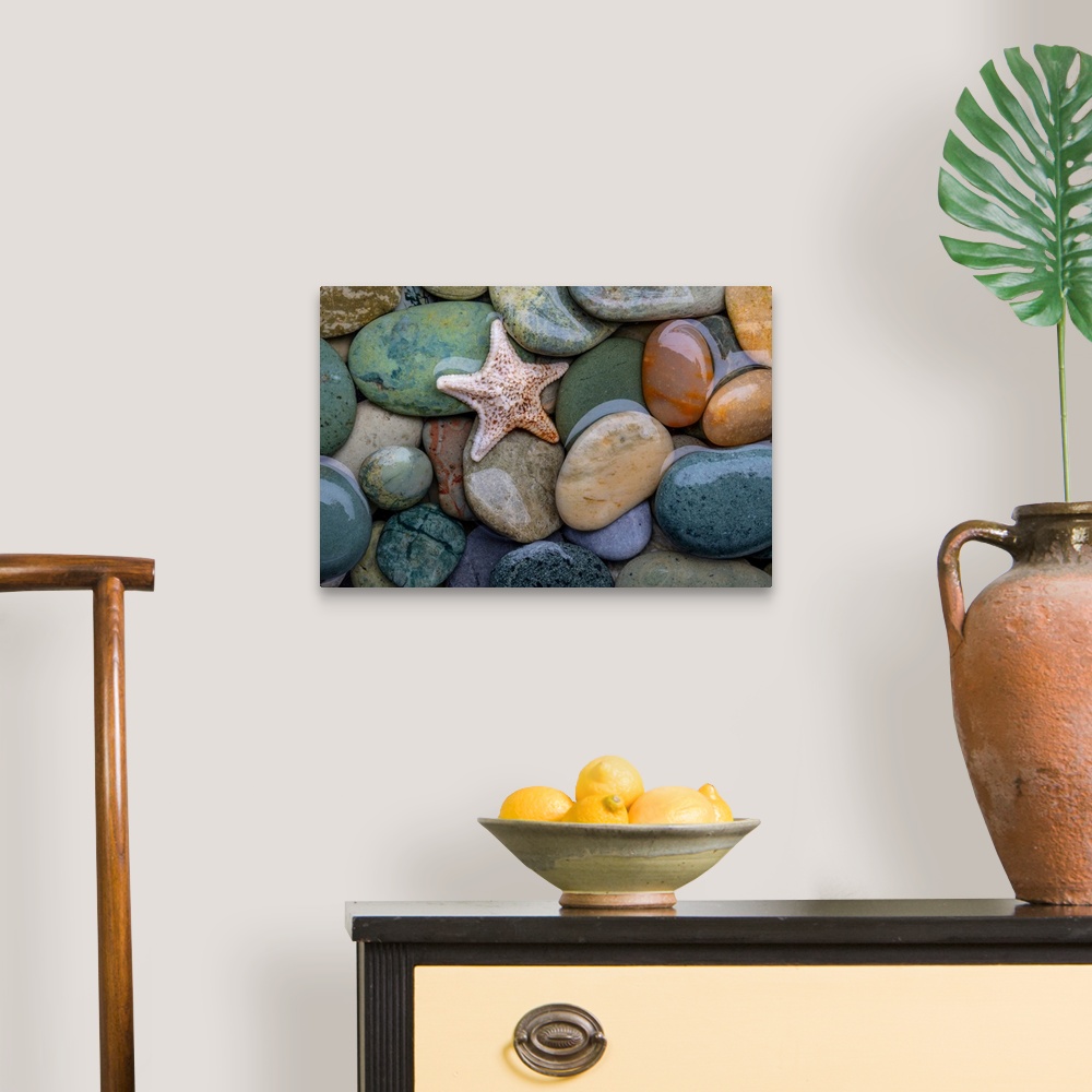 A traditional room featuring Seastar and Beach Rock - 50.6mp image