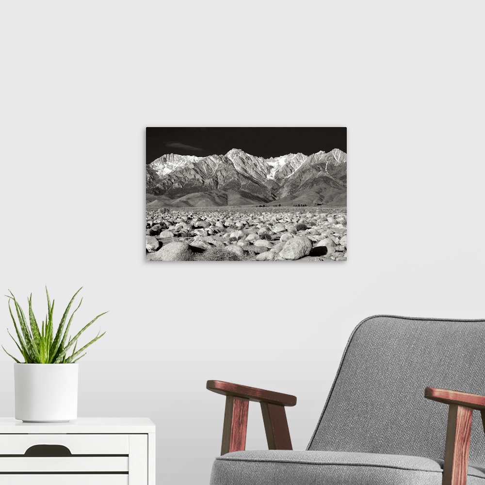 A modern room featuring Sierra Nevada Mountains II Black and White