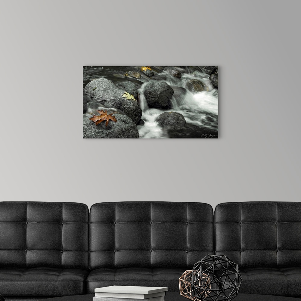 A modern room featuring This is a landscape photograph of water rushing over rocks with autumn leaves resting on them.