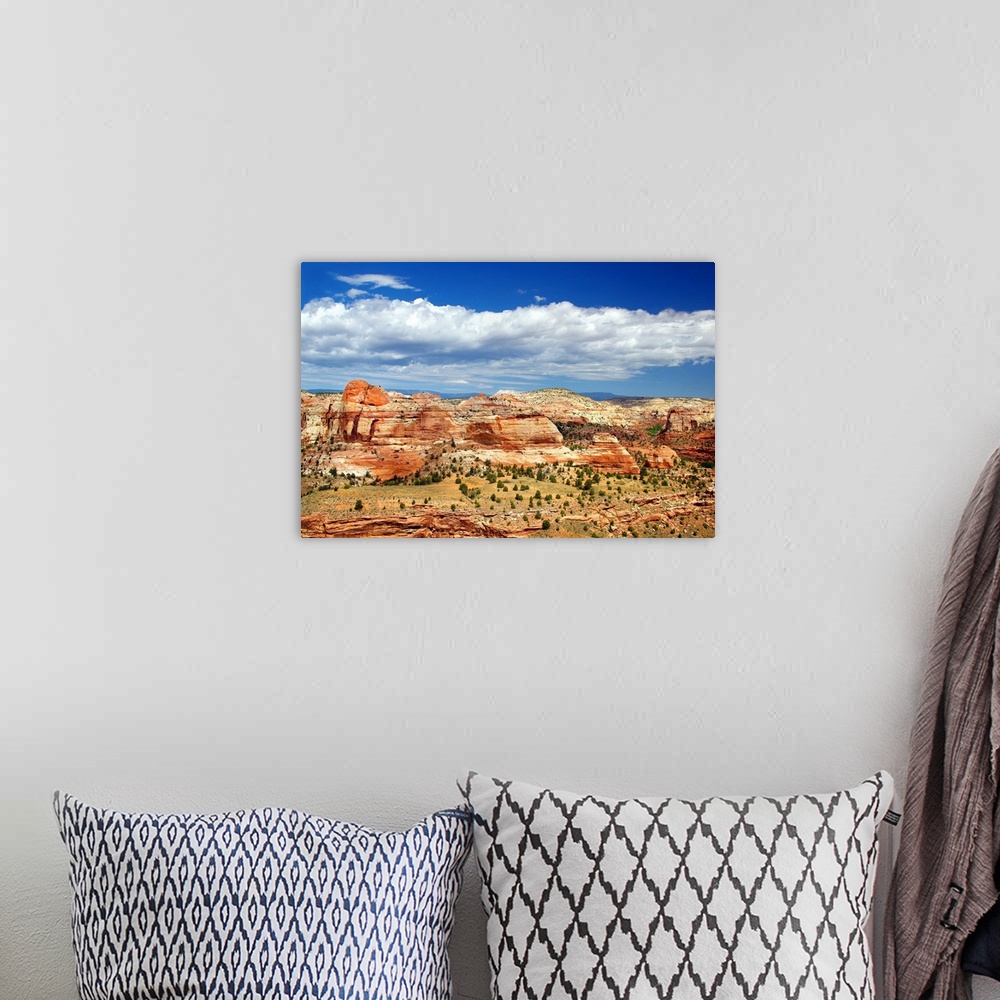A bohemian room featuring Landscape photograph of sandstone rock formations with white clouds in the sky.