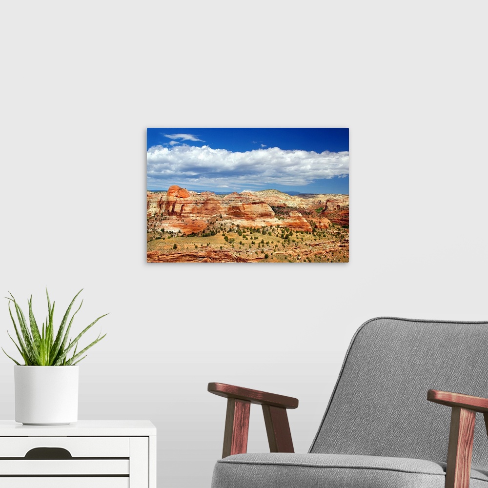 A modern room featuring Landscape photograph of sandstone rock formations with white clouds in the sky.