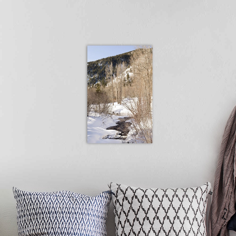 A bohemian room featuring Photograph of a small stream flowing through a snowy mountain landscape.