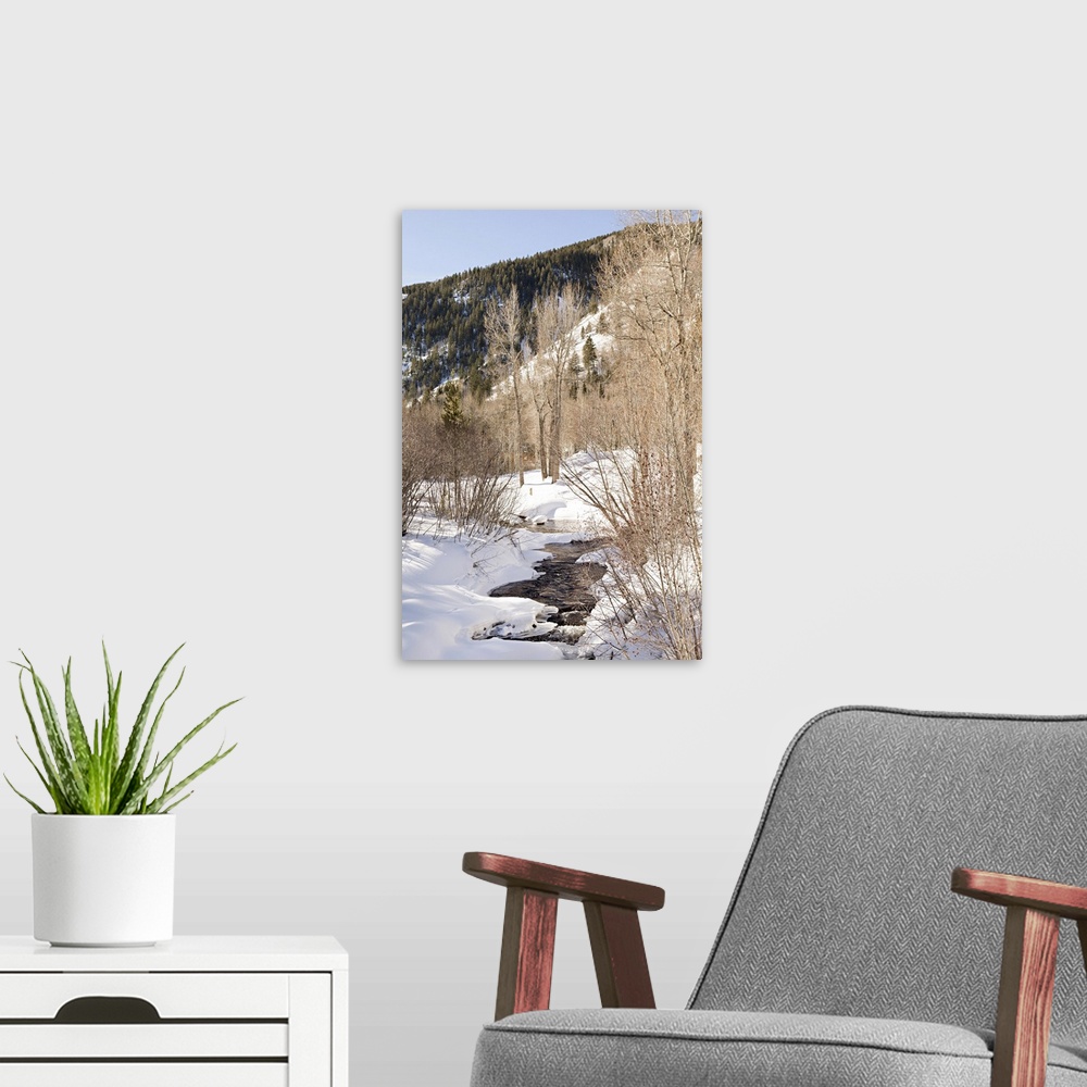 A modern room featuring Photograph of a small stream flowing through a snowy mountain landscape.