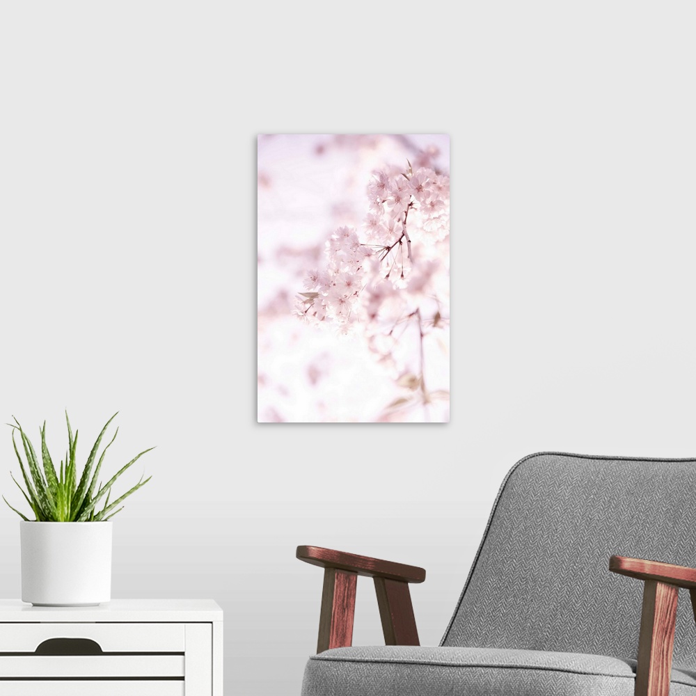 A modern room featuring Soft Blooms II