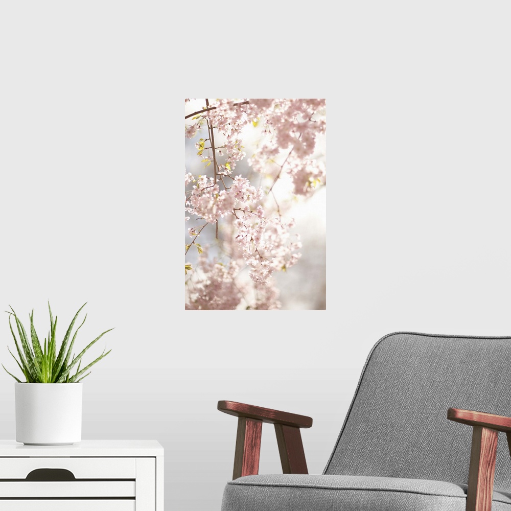 A modern room featuring Soft Blooms V