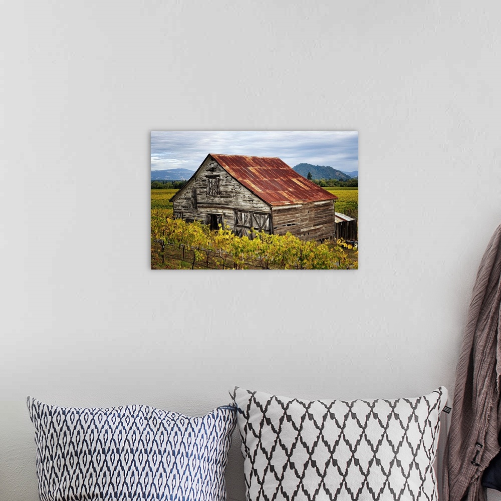 A bohemian room featuring Photograph of an old and rusted barn in the foothills.