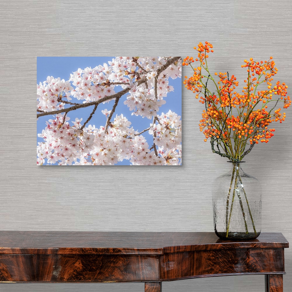 A traditional room featuring Spring Cherry Blossoms II