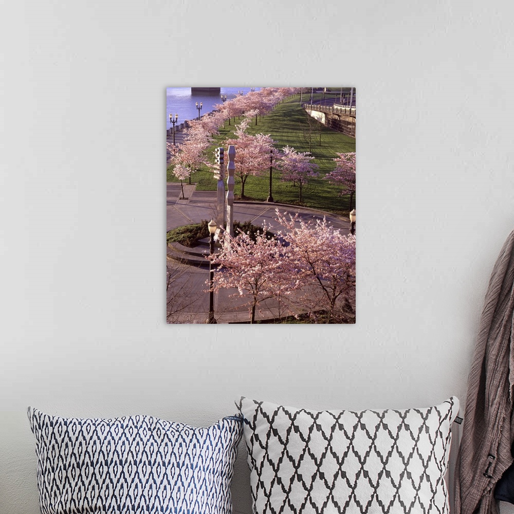 A bohemian room featuring Photograph of cherry blossom trees down by the water in Portland.