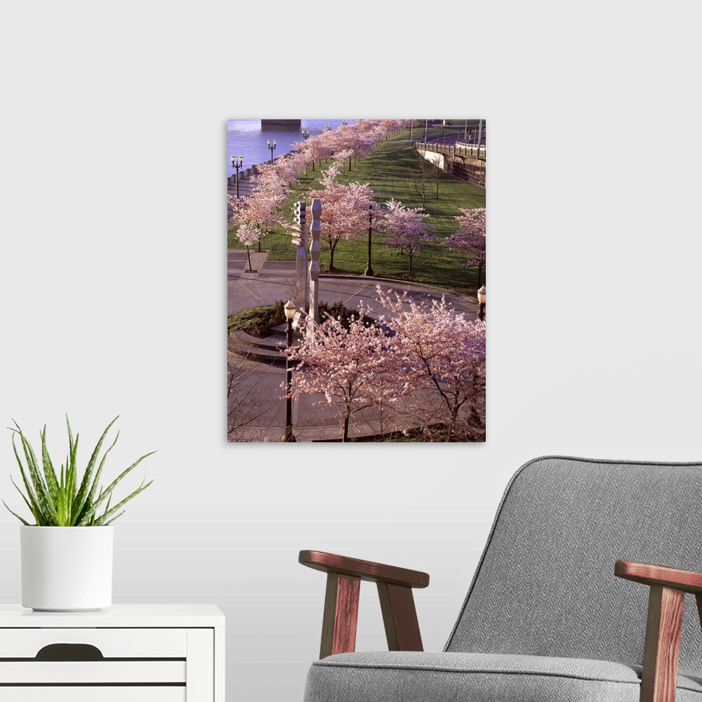 A modern room featuring Photograph of cherry blossom trees down by the water in Portland.
