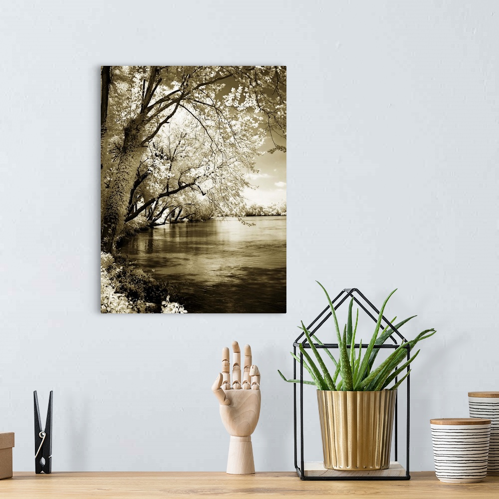 A bohemian room featuring Spring on the River 1