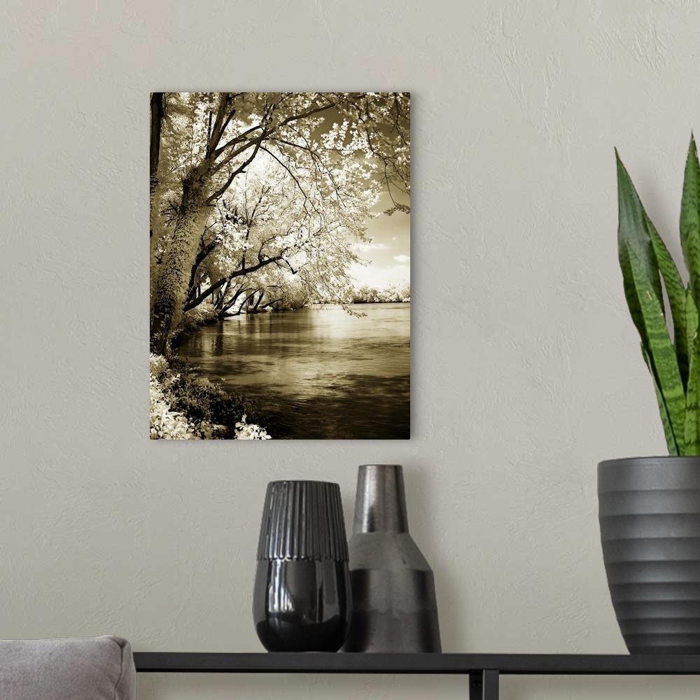 A modern room featuring Spring on the River 1