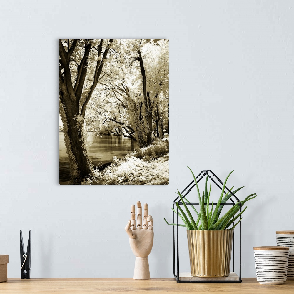 A bohemian room featuring Spring on the River 2