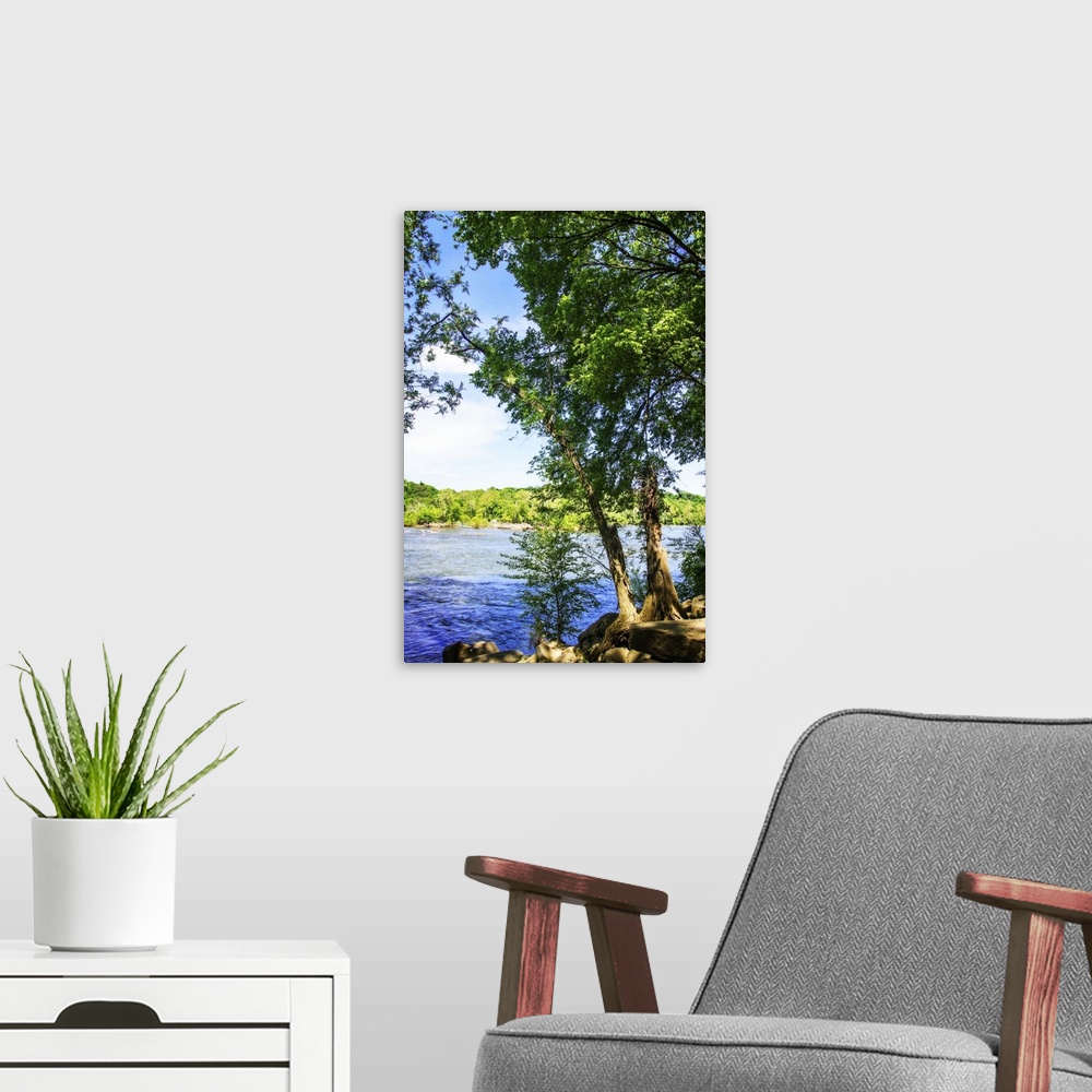 A modern room featuring Verdant trees at the edge of a blue river on a sunny day.