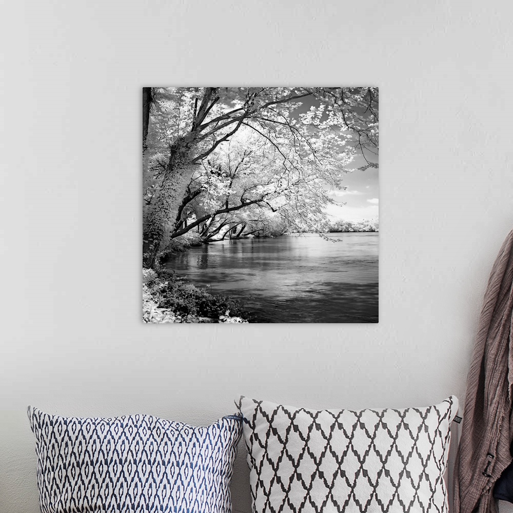 A bohemian room featuring This is a high contrast monochromatic landscape photograph of a river scene available as square s...
