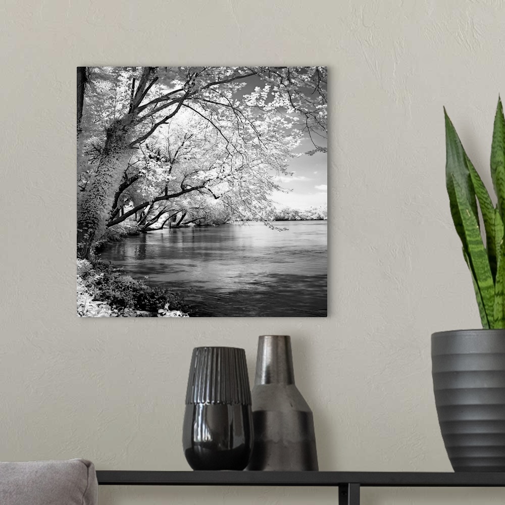 A modern room featuring This is a high contrast monochromatic landscape photograph of a river scene available as square s...