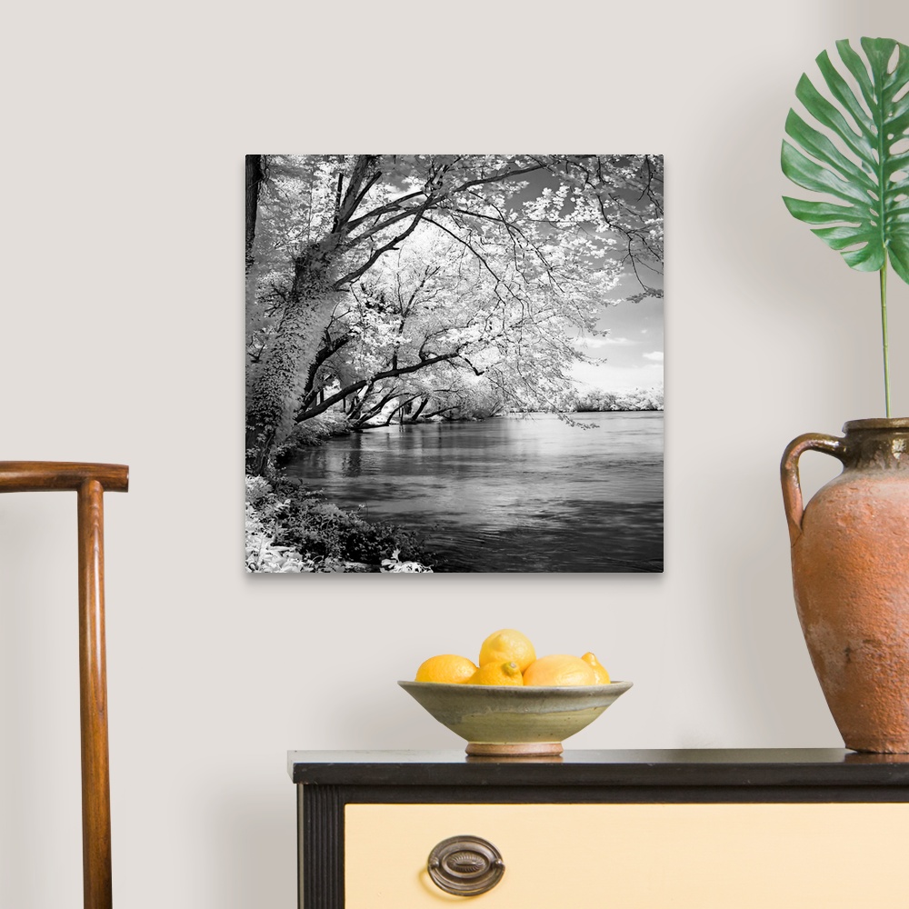 A traditional room featuring This is a high contrast monochromatic landscape photograph of a river scene available as square s...