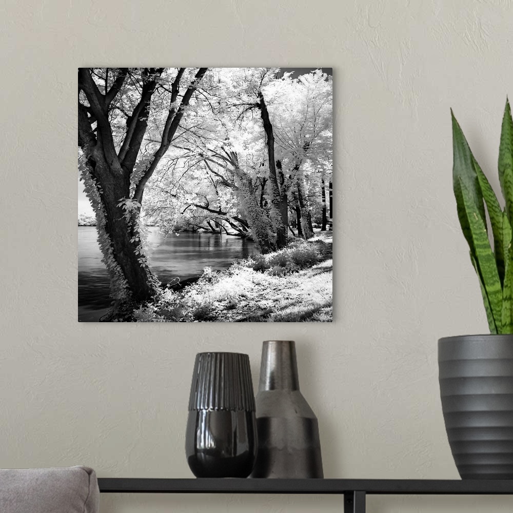 A modern room featuring Spring on the River 2