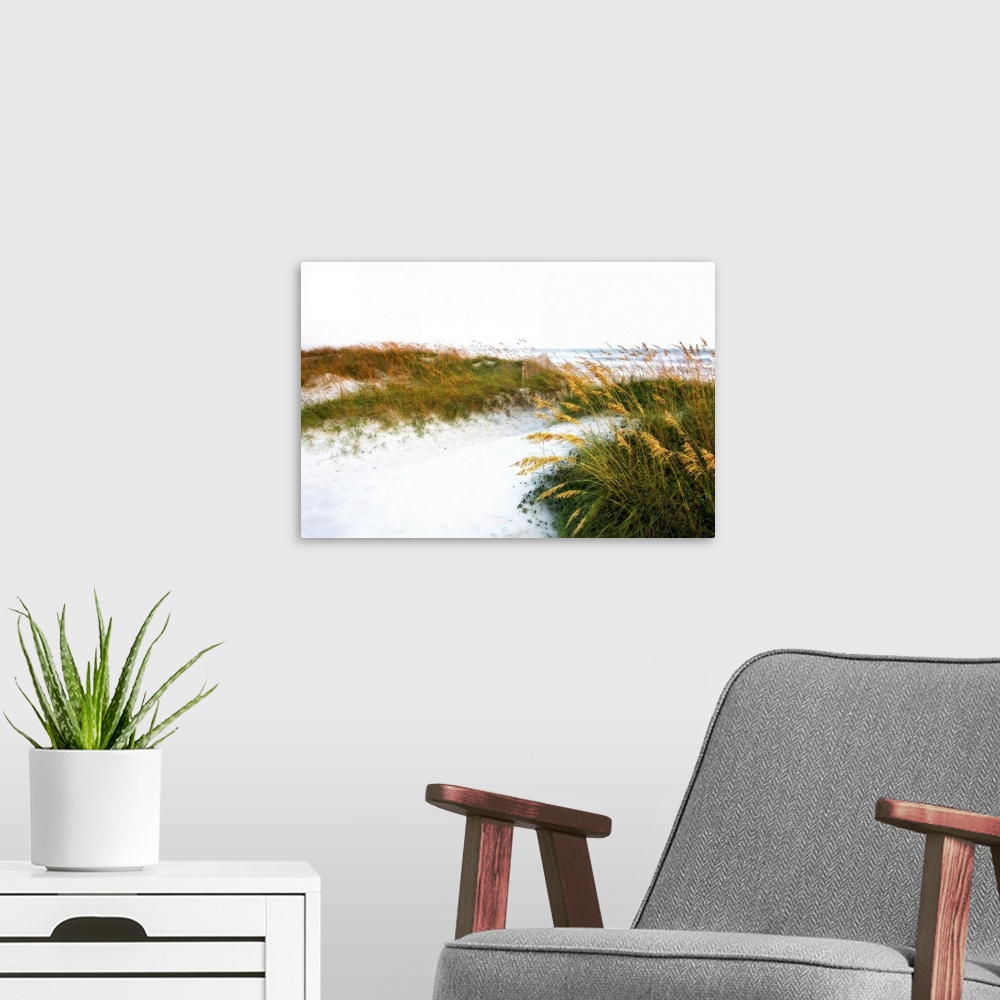 A modern room featuring This landscape photograph of a sandy beach and sea grass blowing in the wind that has been edited...
