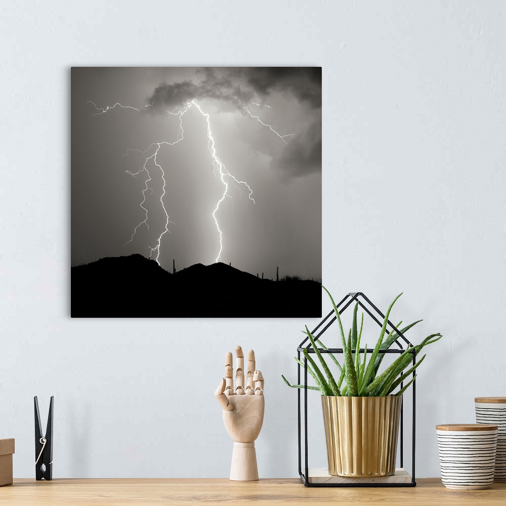 A bohemian room featuring Summer Lightning I - Black and White