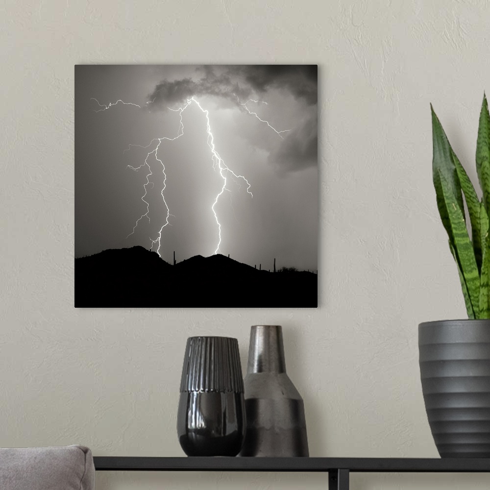 A modern room featuring Summer Lightning I - Black and White