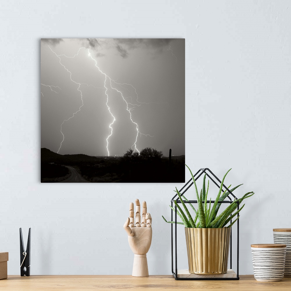 A bohemian room featuring Summer Lightning II - Black and White