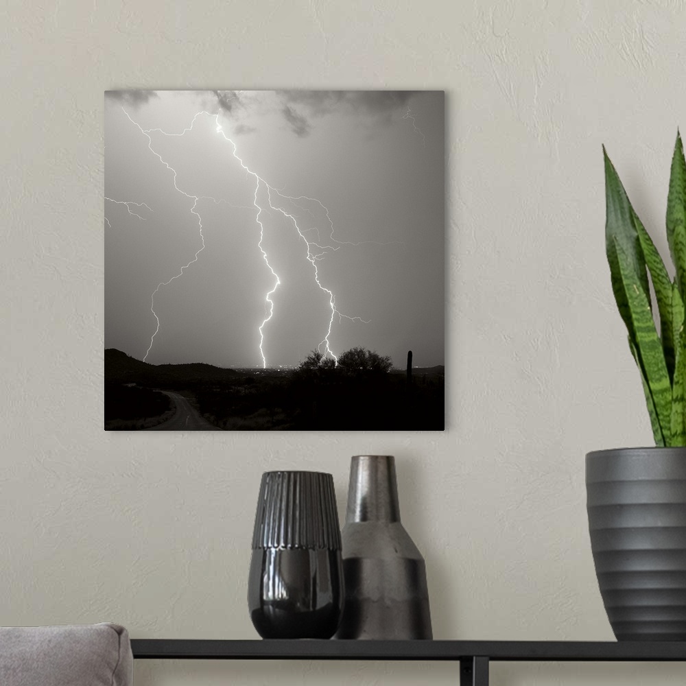 A modern room featuring Summer Lightning II - Black and White