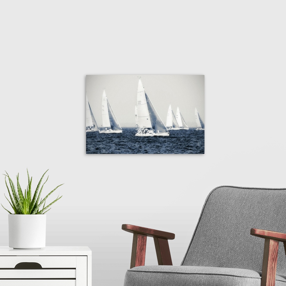 A modern room featuring Big canvas photo of six sailboats racing on the ocean.