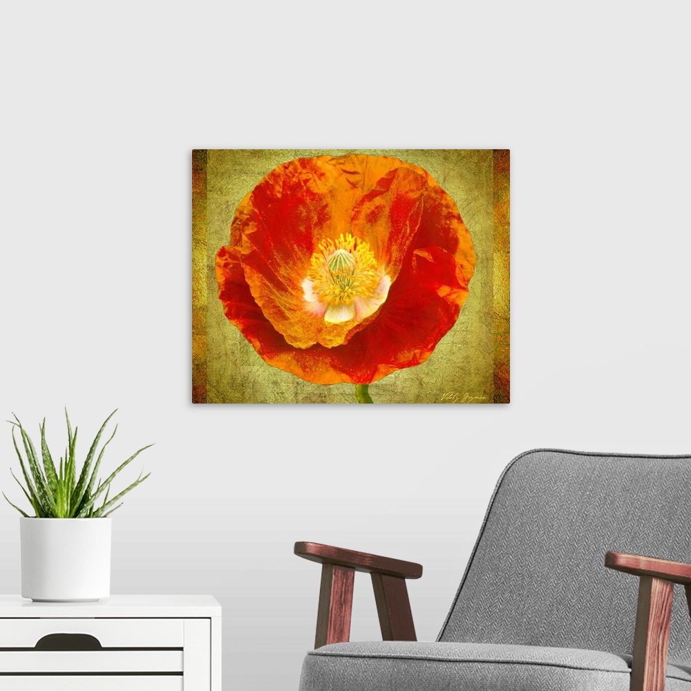 A modern room featuring Huge contemporary art focuses on the top of a brightly colored flower against a delicate earth to...