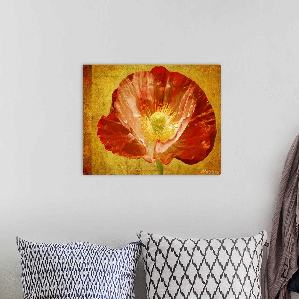 A bohemian room featuring Mixed media artwork with an up-close photograph of a flower with an abstract background.