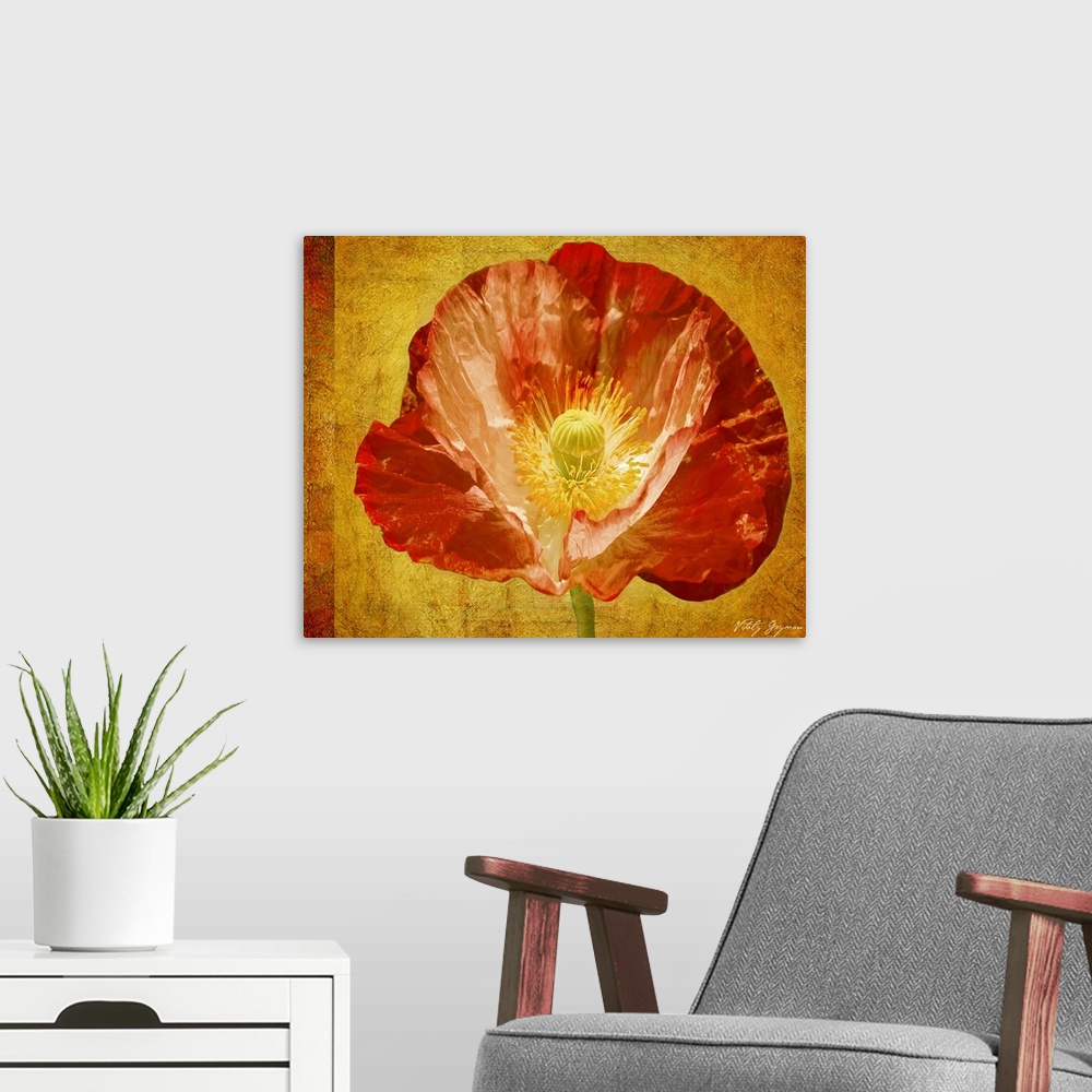 A modern room featuring Mixed media artwork with an up-close photograph of a flower with an abstract background.