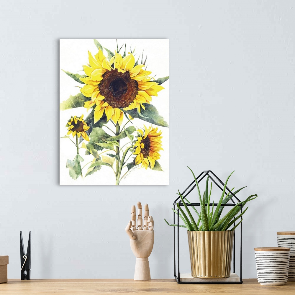 A bohemian room featuring Watercolor painting of sunflowers on a solid white background.