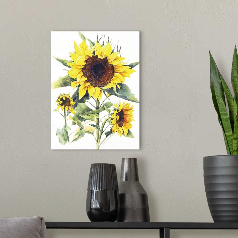 A modern room featuring Watercolor painting of sunflowers on a solid white background.