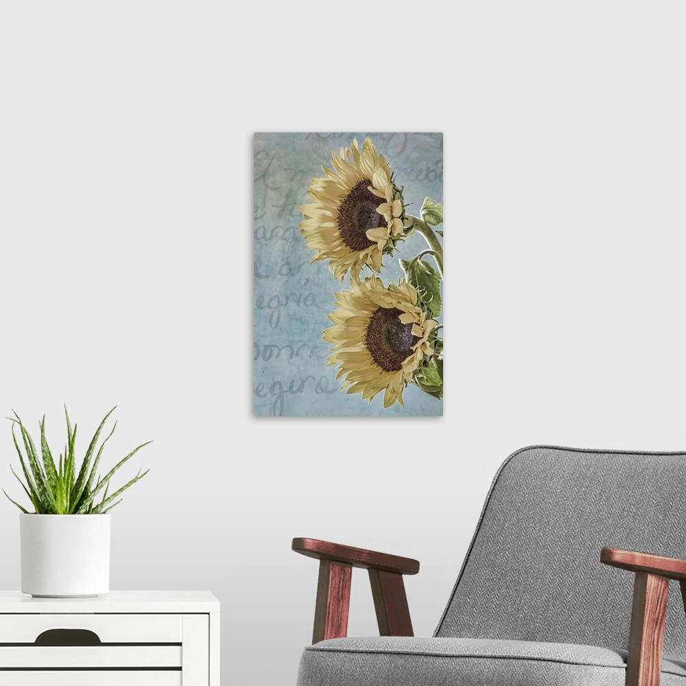 A modern room featuring Sunflowers, San Miguel de Allende, Mexico