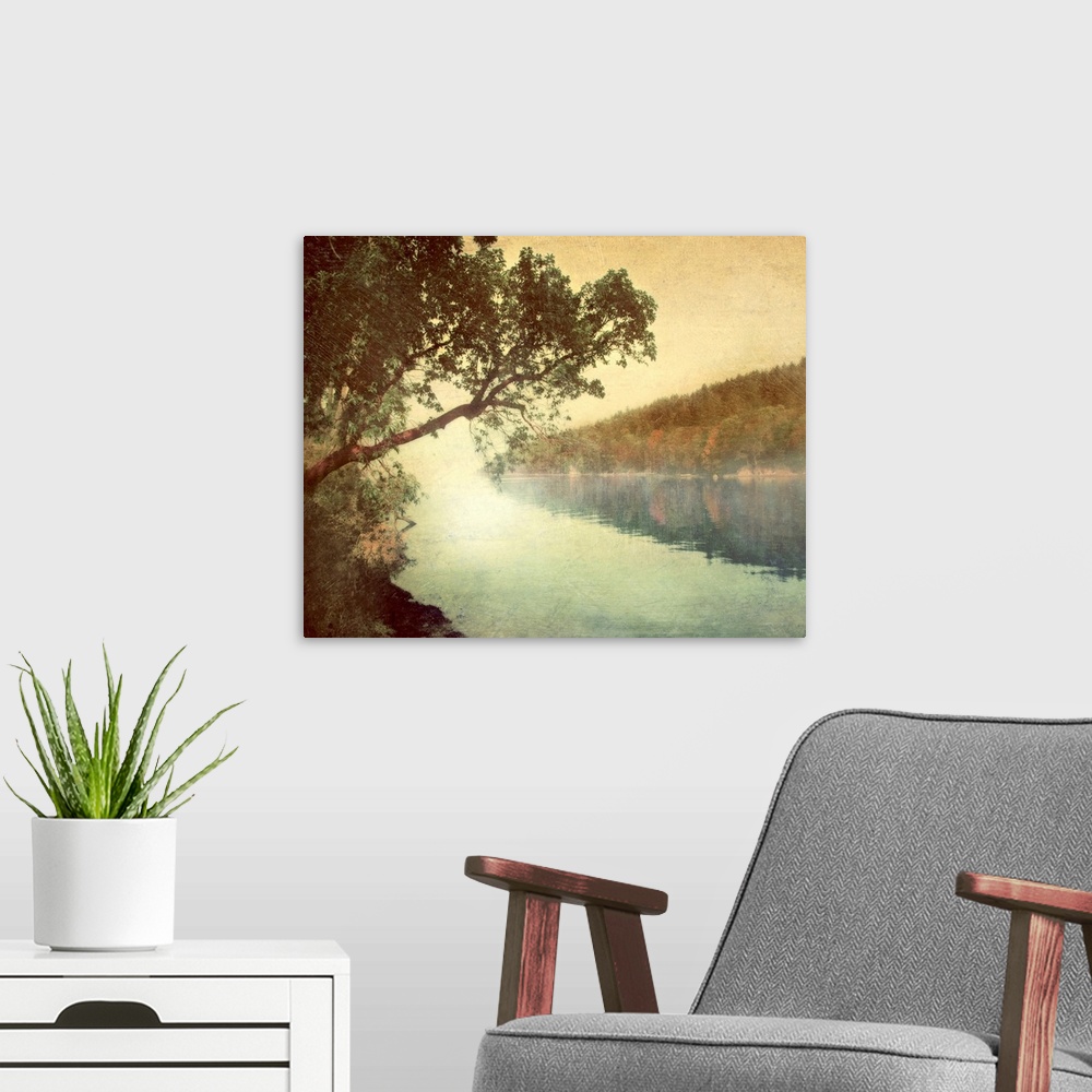 A modern room featuring Giant photograph displays a tree as it hangs over the quiet waters of a lake.  On the other side ...