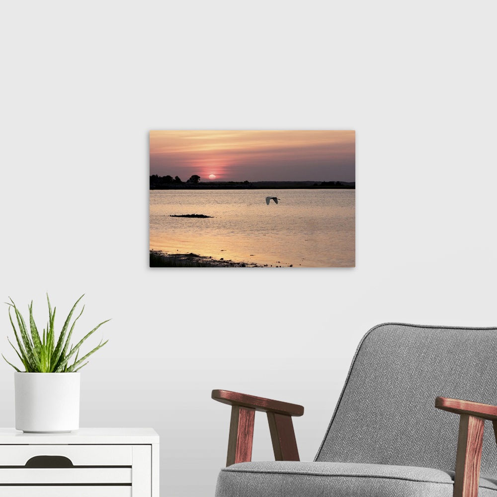 A modern room featuring Sunset in the Marsh
