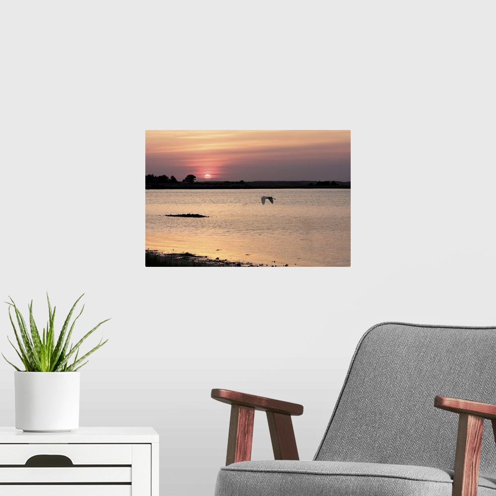 A modern room featuring Sunset in the Marsh
