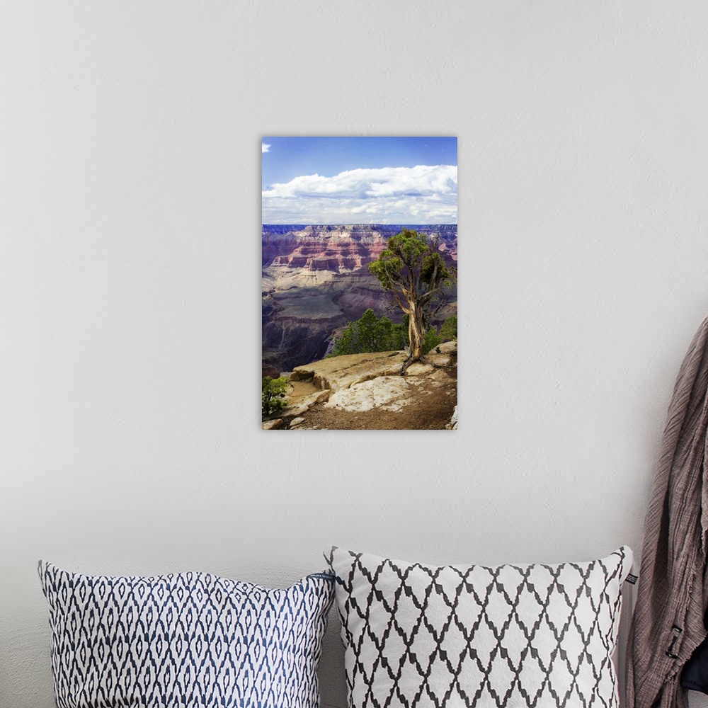 A bohemian room featuring The Canyon Rim I