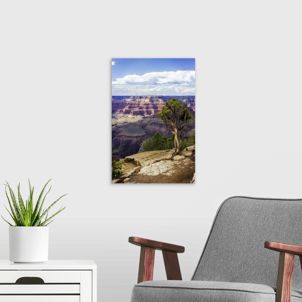 A modern room featuring The Canyon Rim I