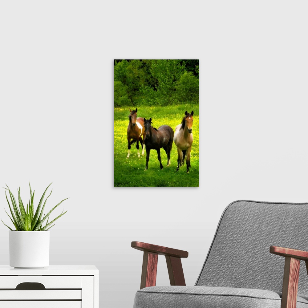 A modern room featuring The Horses Three -2