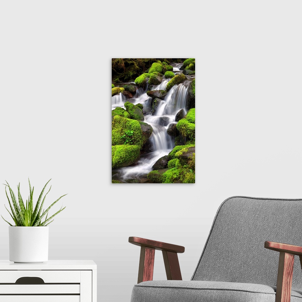 A modern room featuring Long exposure photograph of a rocky waterfall lined with bright green moss covered rocks.