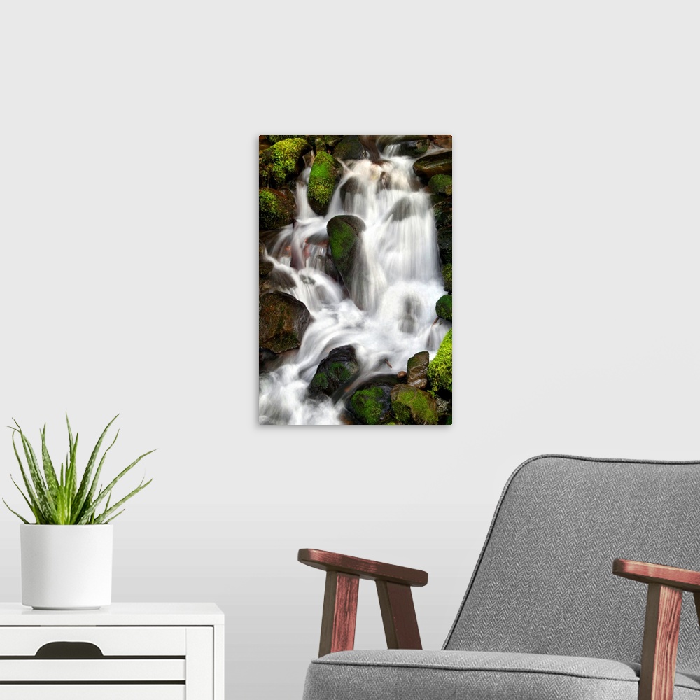 A modern room featuring Long exposure photograph of a waterfall over bright, mossy, green rocks.