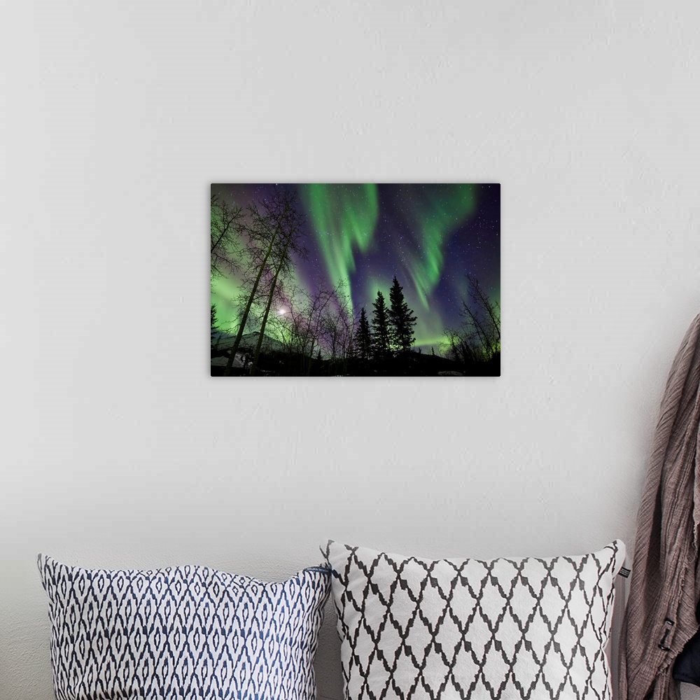 A bohemian room featuring Trees with Northern Lights waves and curtains
