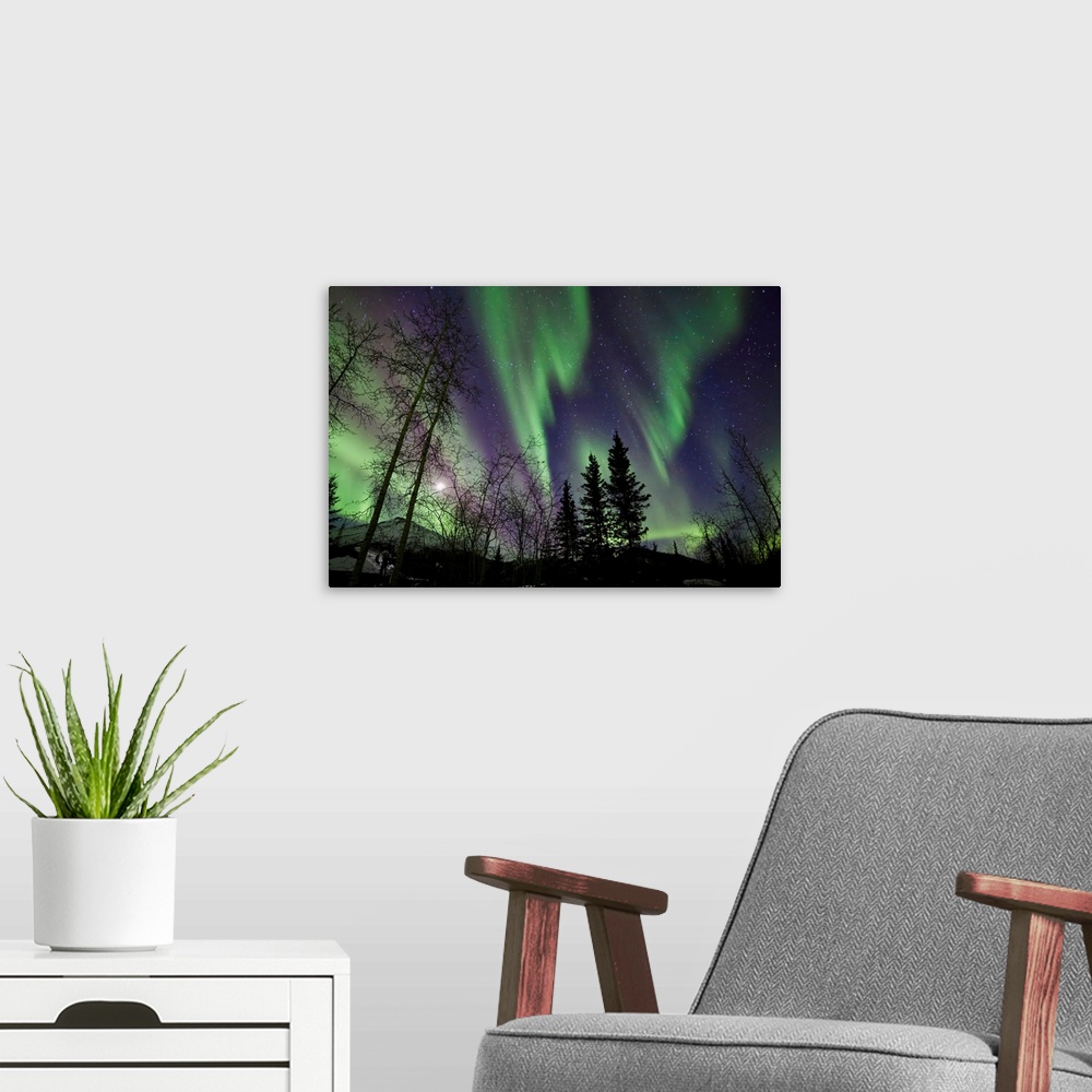 A modern room featuring Trees with Northern Lights waves and curtains