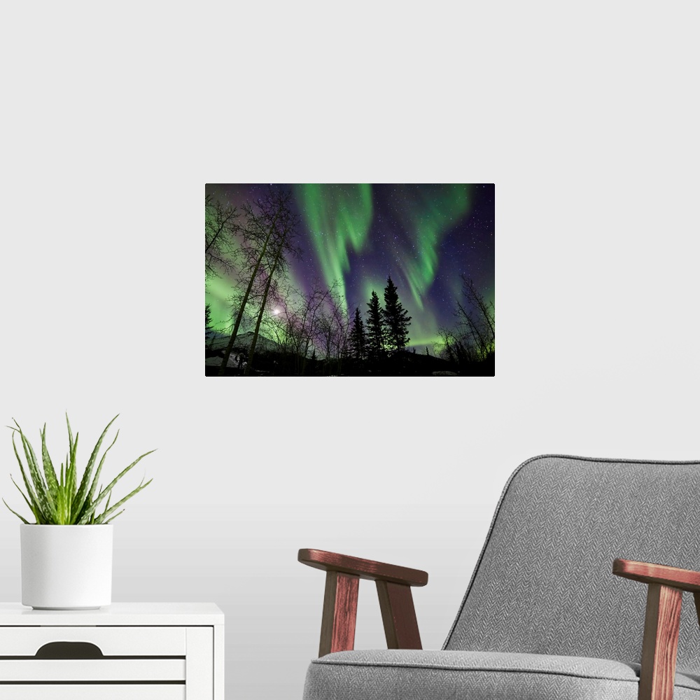 A modern room featuring Trees with Northern Lights waves and curtains