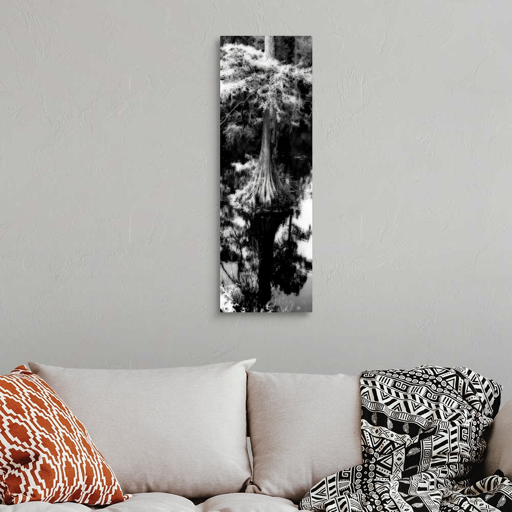 A bohemian room featuring Trenton Cypress 1