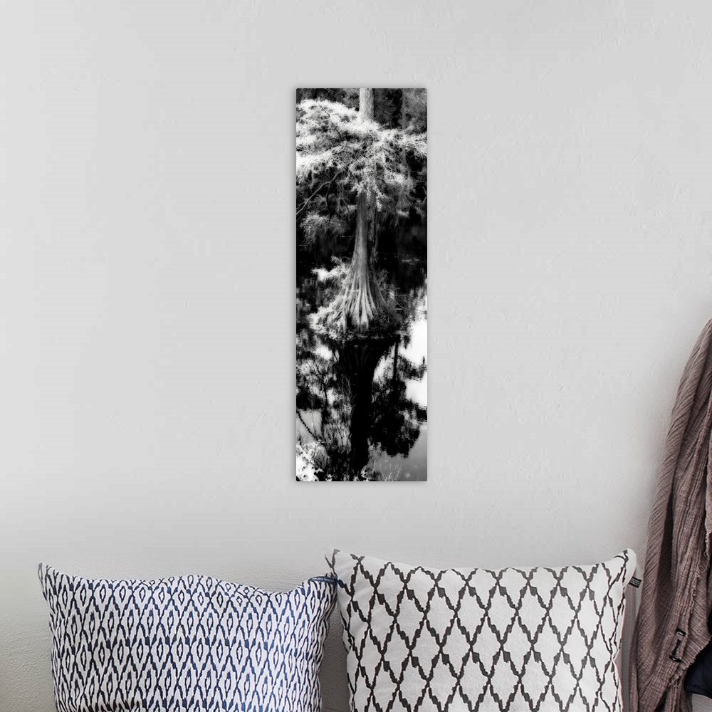 A bohemian room featuring Trenton Cypress 1