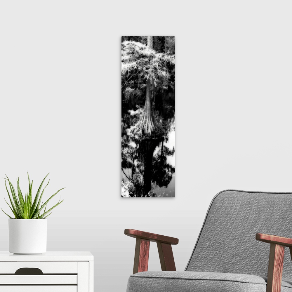 A modern room featuring Trenton Cypress 1