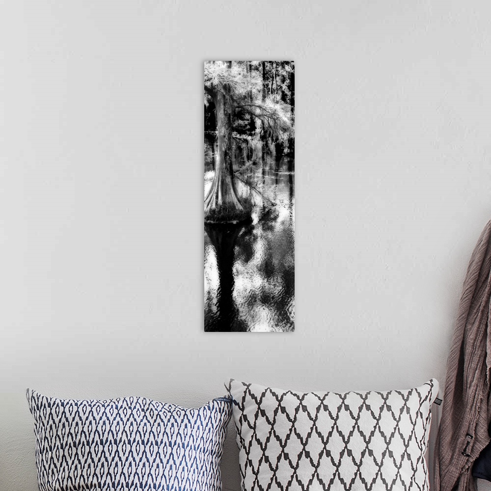 A bohemian room featuring Trenton Cypress 2